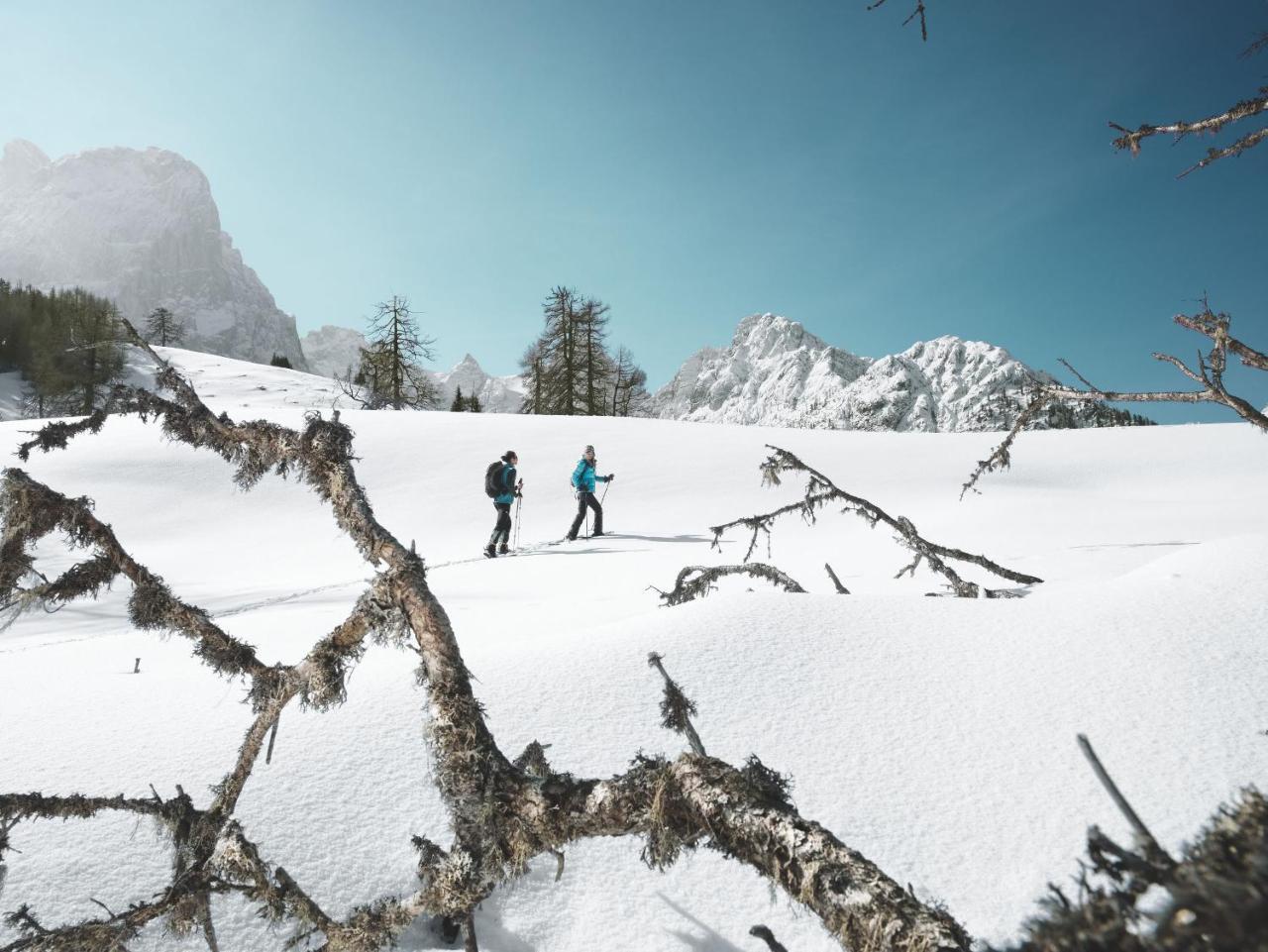 Alpengasthof Pichler Sankt Veit in Defereggen エクステリア 写真